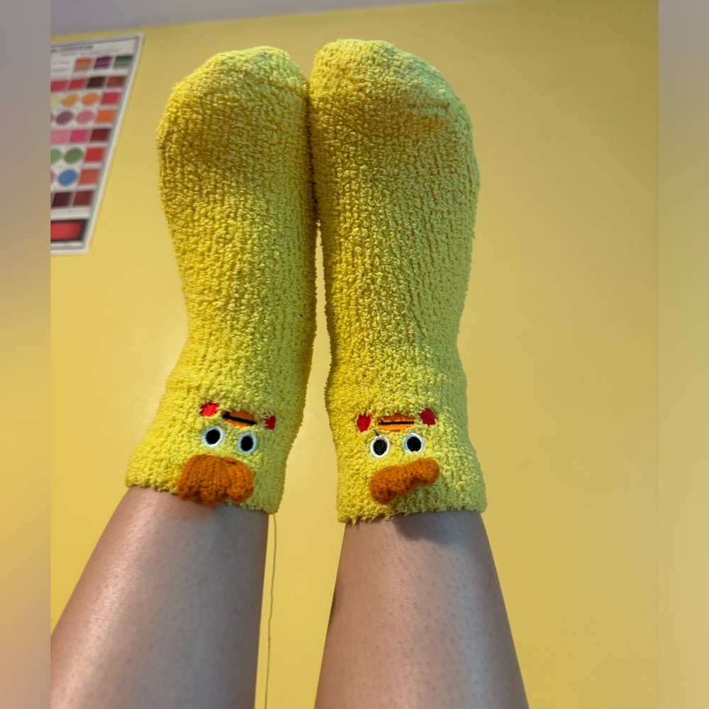 Very old and worn Fuzzy Socks